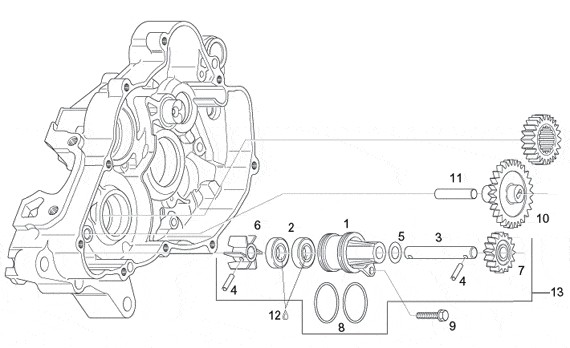 Motor Wasserpumpenritzel - Aprilia Tuono 125ccm 2T LC 2004- ZD4SFD