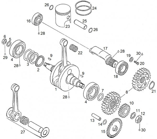 Motor Kurbelwelle - Aprilia AF1 125ccm 2T LC 1990- ZD4FM