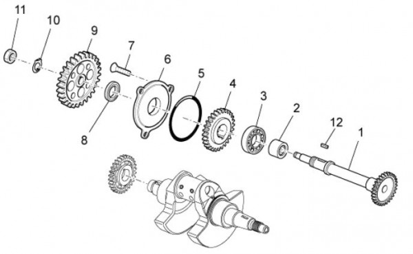 Motor Umlenkwelle - Aprilia SXV 450ccm 4T LC 2009- ZD4VSR