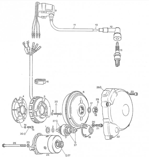 Motor Lichtmaschine - Aprilia AF1 125ccm 2T LC 1993- ZD4FM