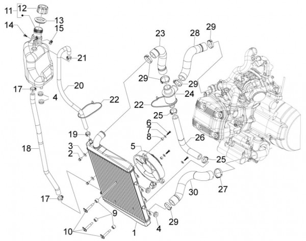 Fahrgestell Kühler - Aprilia SRV 850ccm 4T 8V LC 2013- ZAPM55103