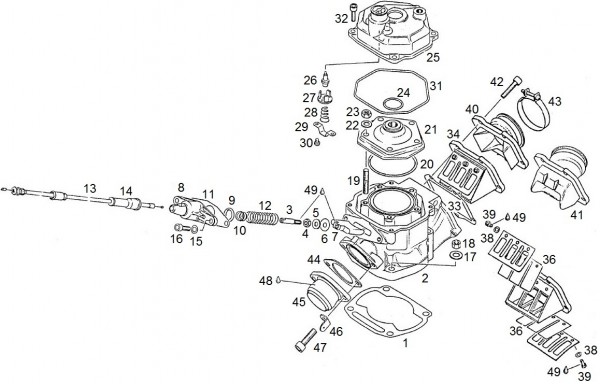 Motor Zylinder - Aprilia AF1 125ccm 2T LC 1990- ZD4FM