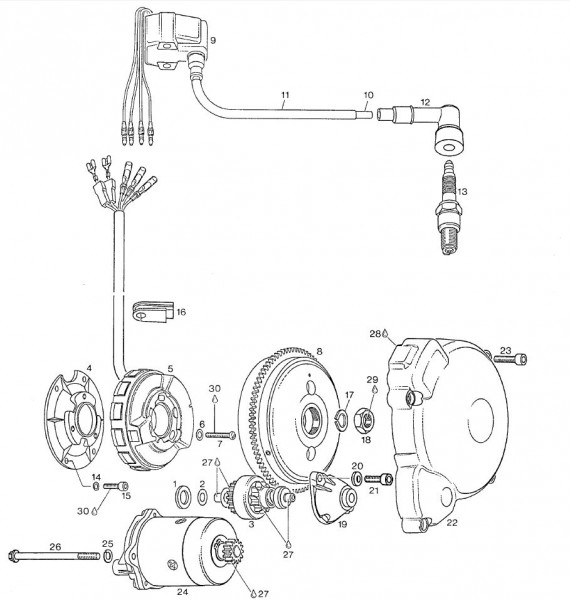 Motor Lichtmaschine - Aprilia AF1 125ccm 2T LC 1992- ZD4FM