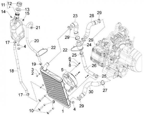 Fahrgestell Kühler - Aprilia SRV 850ccm 4T 8V LC 2012- ZAPM55103
