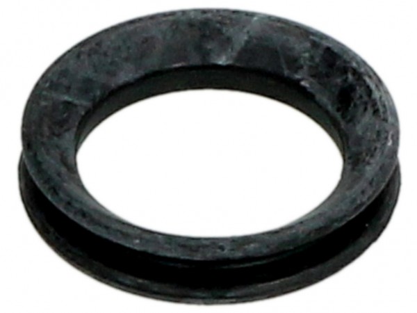 Dichtring