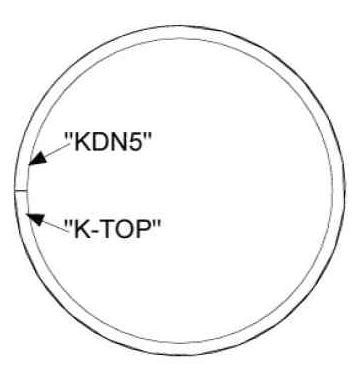Kolbenring