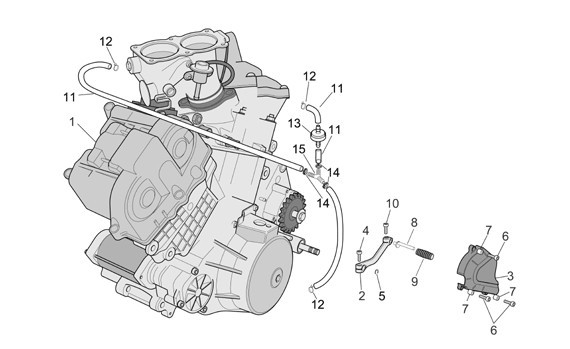 Motor Motor - Aprilia Tuono 1000ccm 4T LC 2009- ZD4RR1