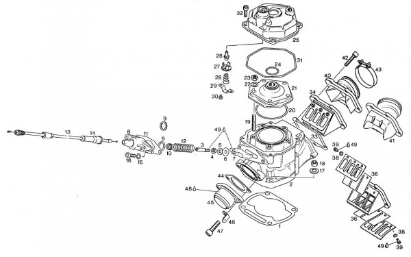 Motor Zylinder - Aprilia AF1 125ccm 2T LC 1993- ZD4FM