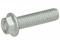 TE Schraube mit Flansch, M8x30