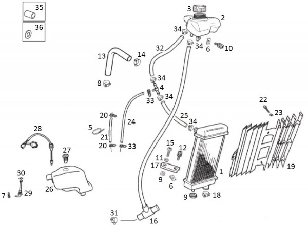 Fahrgestell Kühler - Aprilia SX 50ccm 2T LC 2017- ZD4SWA00