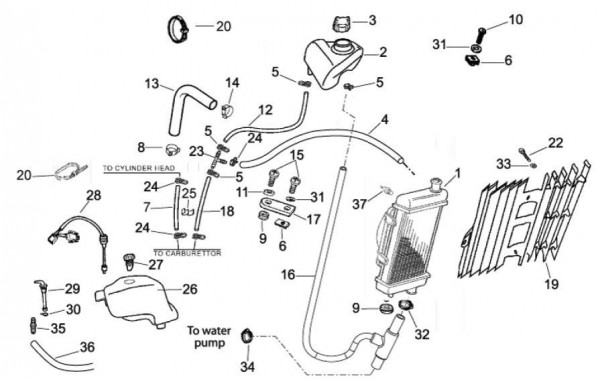 Fahrgestell Kühler - Aprilia SX 50ccm 2T LC 2009- ZD4PV