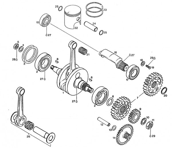 Motor Kurbelwelle - Aprilia AF1 125ccm 2T LC 1993- ZD4FM