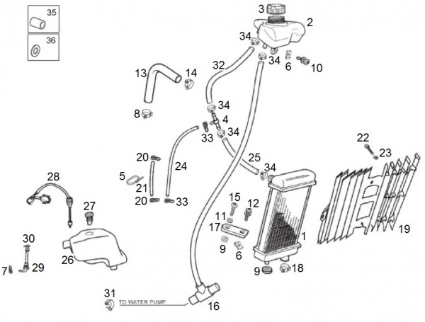 Fahrgestell Kühler - Aprilia SX 50ccm 2T LC 2015- ZD4SWA00