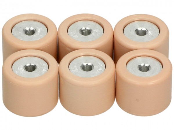 Variatorrollensatz, 19x15,5 mm, 8,0 g